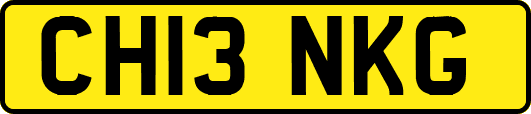 CH13NKG