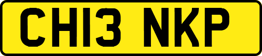 CH13NKP