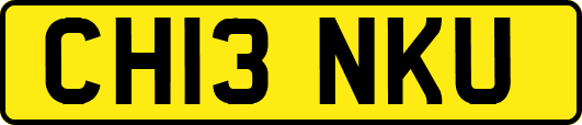 CH13NKU