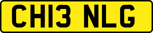 CH13NLG
