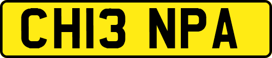 CH13NPA