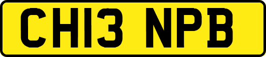 CH13NPB