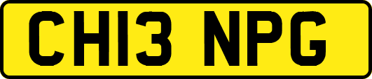 CH13NPG