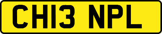 CH13NPL