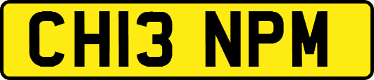 CH13NPM