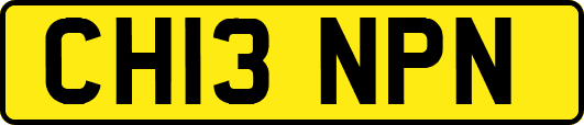 CH13NPN