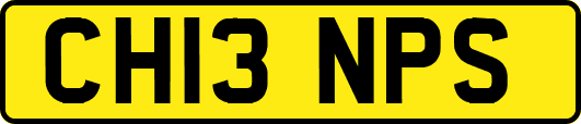 CH13NPS