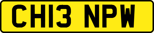 CH13NPW