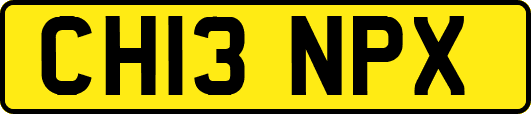 CH13NPX