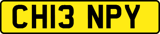 CH13NPY