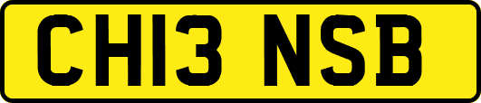 CH13NSB
