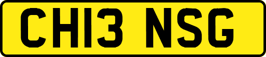 CH13NSG