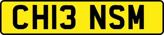 CH13NSM