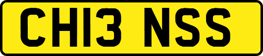 CH13NSS