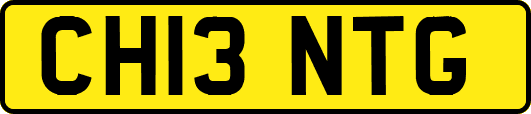 CH13NTG