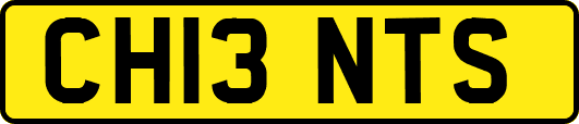 CH13NTS