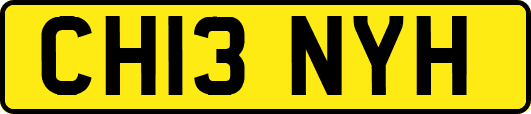 CH13NYH