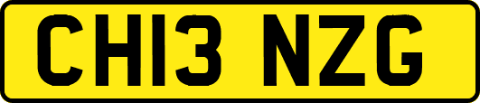 CH13NZG
