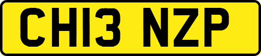 CH13NZP