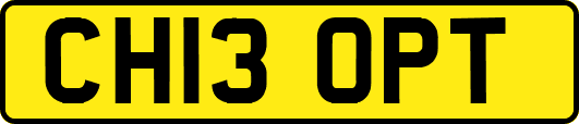 CH13OPT