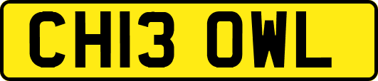 CH13OWL