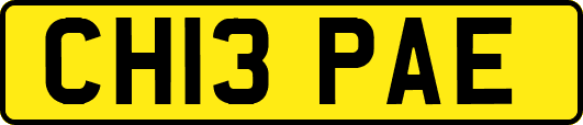 CH13PAE