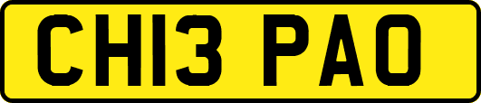CH13PAO