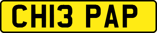 CH13PAP