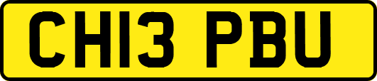 CH13PBU