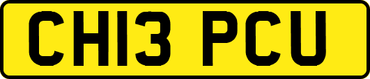 CH13PCU
