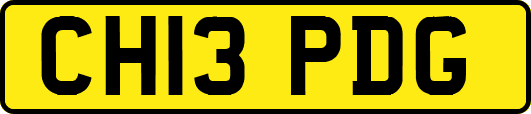 CH13PDG