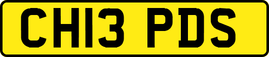 CH13PDS