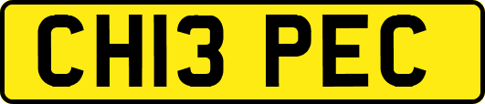 CH13PEC