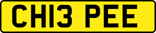 CH13PEE