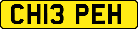 CH13PEH