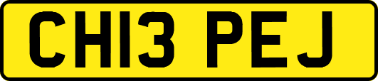 CH13PEJ