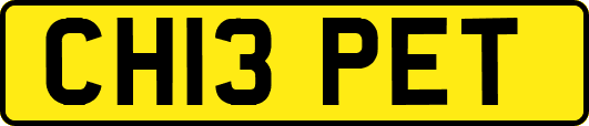 CH13PET