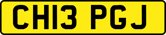 CH13PGJ