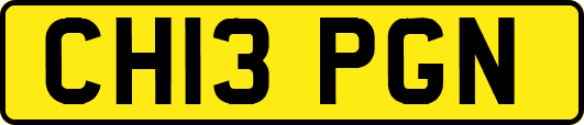 CH13PGN