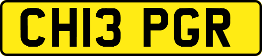 CH13PGR