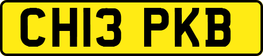 CH13PKB