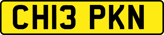 CH13PKN