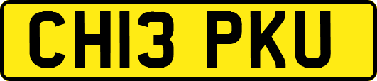 CH13PKU