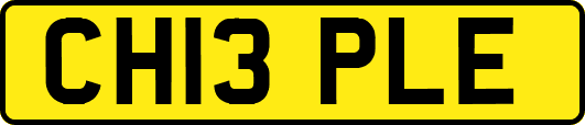 CH13PLE