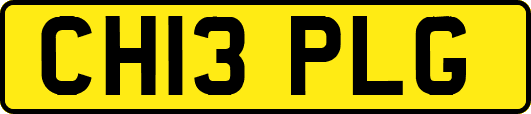 CH13PLG