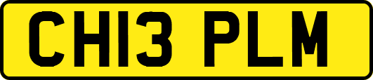 CH13PLM