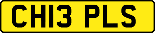 CH13PLS