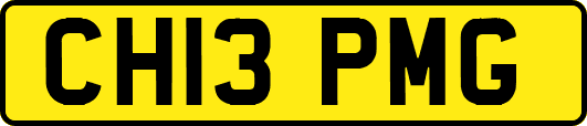 CH13PMG