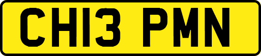CH13PMN