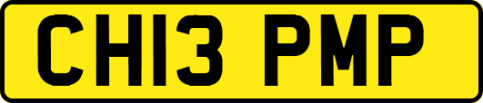 CH13PMP